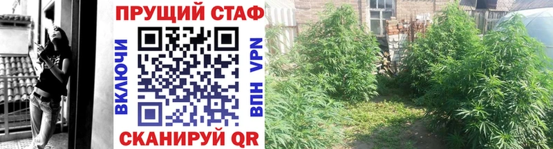 Купить наркотик аптеки Хотьково ЭКСТАЗИ  Бошки Шишки  blacksprut ссылки  ГАШИШ  Амфетамин  Галлюциногенные грибы  МЕФ 