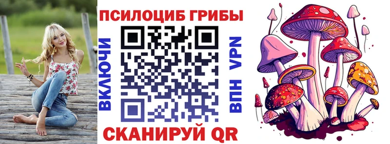 Псилоцибиновые грибы мицелий  Хотьково 